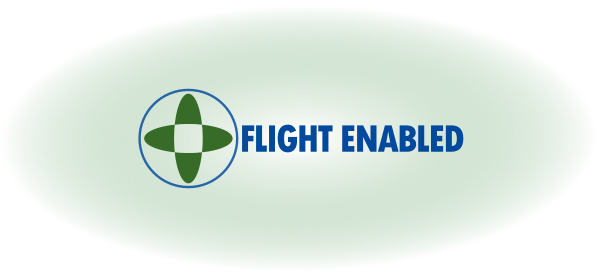 Flight logo